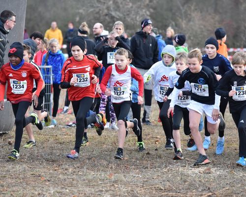 Infos zum Darmstadt-Cross mit KM-Wertung Kreis Darmstadt-Dieburg