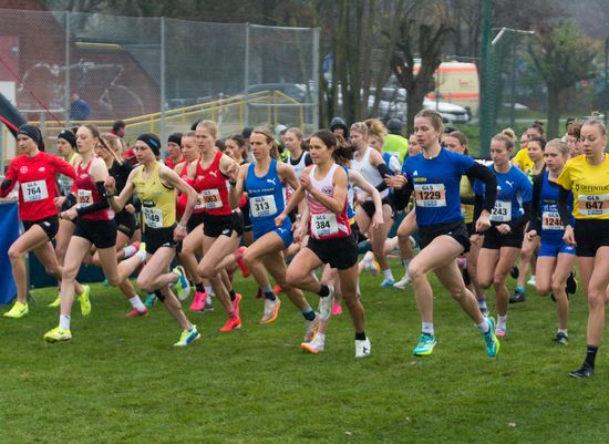 Geballte Crosslauf-Power